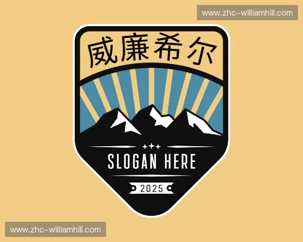 关于威廉希尔官网